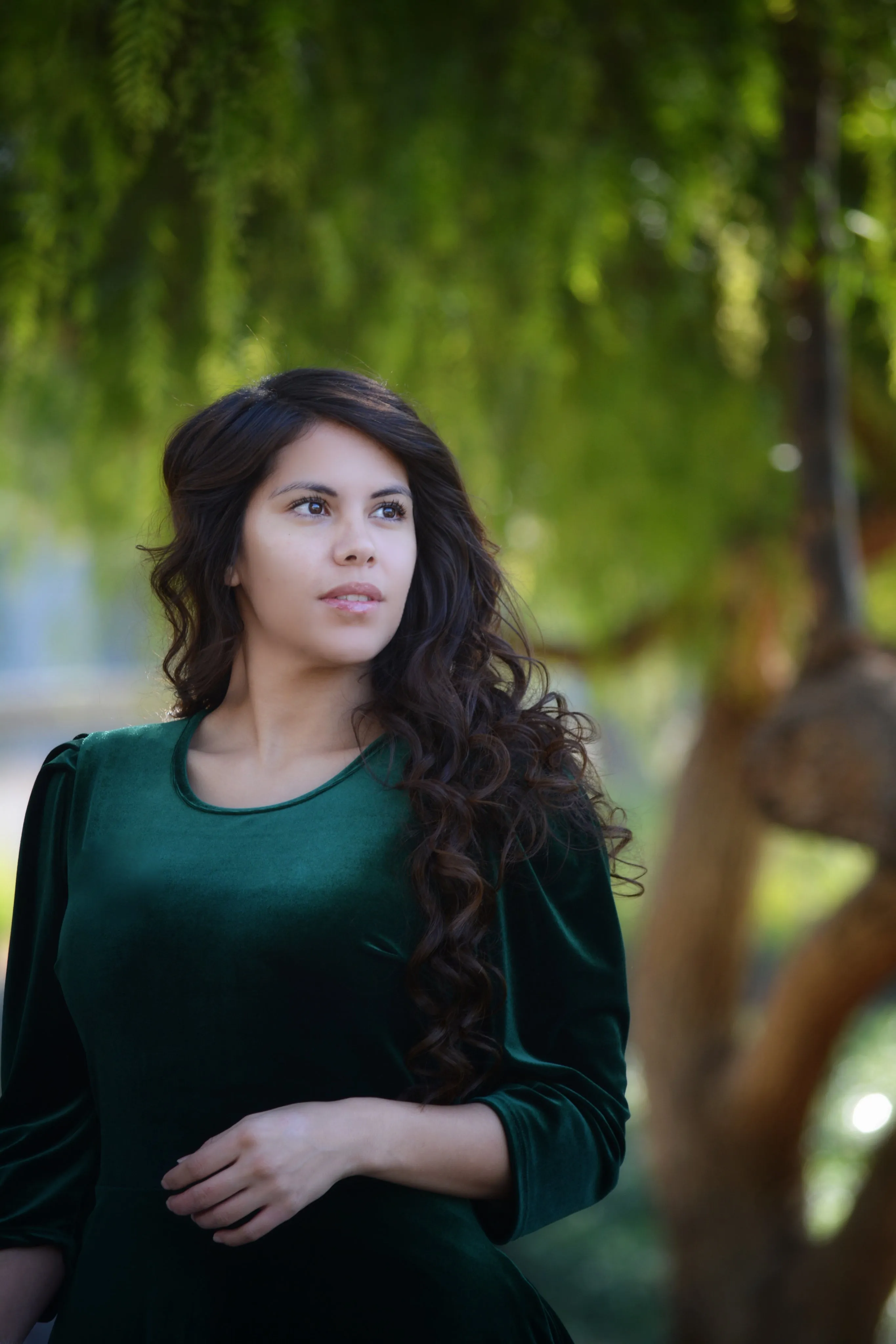 Capri Emerald Velvet Puff Sleeve Dress