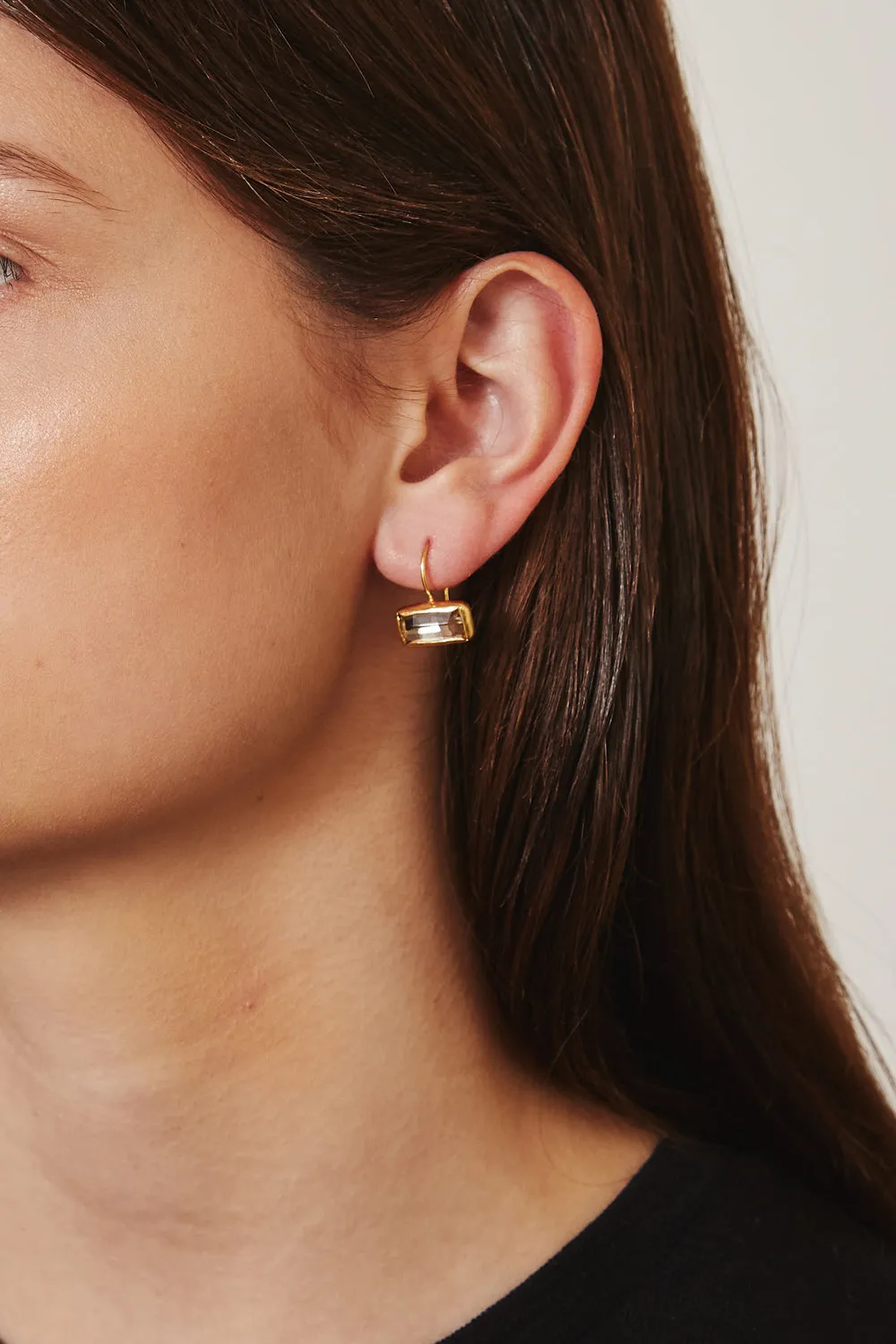 Silver Shade Crystal Tab Earrings
